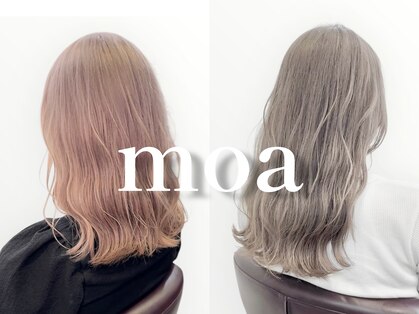 モア(moa)の写真