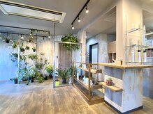 カルマ(KARMA)の雰囲気（エントランスでは沢山の植物達がお出迎え）