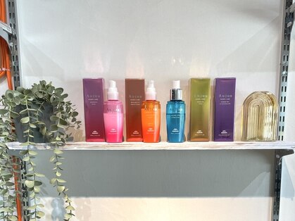 スゴス(sugosu)の写真