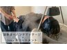 【お試し】頭身浴×ハンドマッサージ×超音波ヘアトリートメント￥4,950