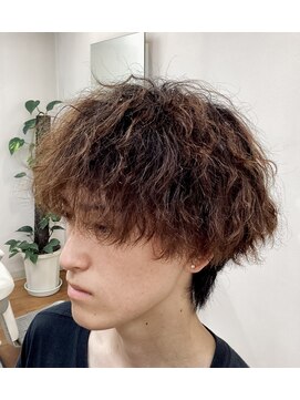 クリアマーケット マッシュウルフ