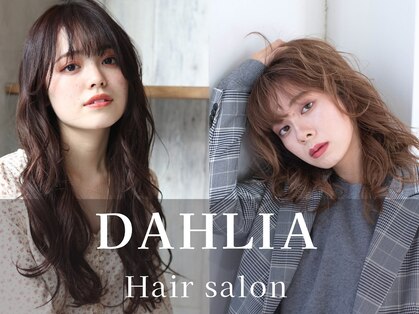 ダリア(Dahlia)の写真