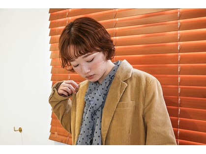 ミッケ(mikke)の写真