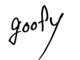 グーフィー(goofy)の写真