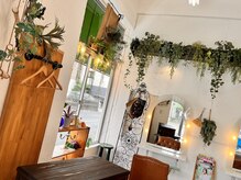 グリッター ヘアー(Glitter hair)の雰囲気（グリーン多めの落ち着いた空間です）