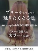Antwerpこだわりのカラー【詳細はこのスタイルをチェック】