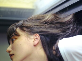 necco　【ネッコ】