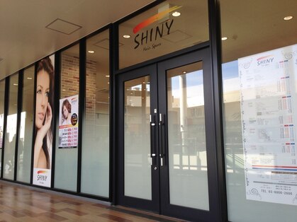 シャイニー(SHINY)の写真