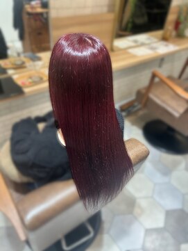 カルテット(Quartett) ワインレッドカラー