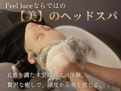 フィールルーチェ(Feel luce)の写真
