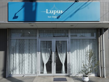ルプス(Lupus)の写真