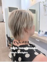 エカム(e-kam)&nbsp;【e-kam】ハイトーンブロンド×ブロックローライト外国人風