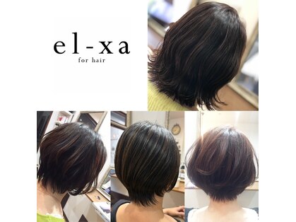 エルシャ(el-xa)の写真