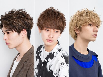 アーカイブ(Archive)の写真