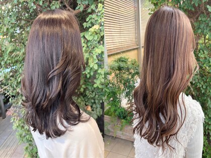 シーズンズセントリック 経堂(SEASONS Centric)の写真