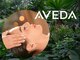 トリッカアヴェダ(tricca AVEDA)の写真/アロマ香るAVEDAのヘッドスパ...☆頭皮をほぐし血行促進◎リラックスや疲れ解消にヘッドスパがオススメ