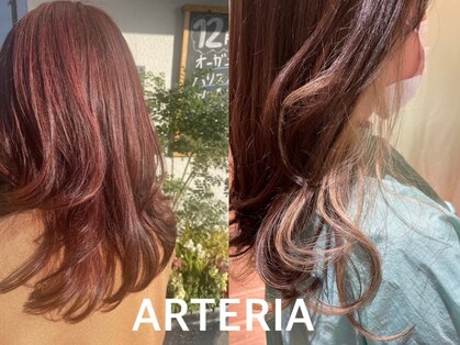 アルテリア(ARTERIA)の写真