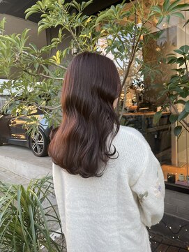 ワンデイ 表参道(oneday) 艶めく◎カシスブラウン