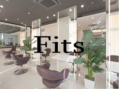 フィッツ(Fits)の写真