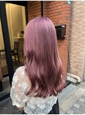 ピンクラベンダー