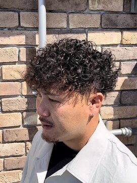 ヘアーパークキューブ プードル×テーパーフェード