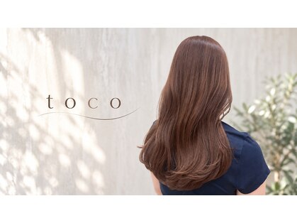 トコ(toco)の写真