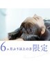 【6ヶ月以上ぶりのご来店の方限定】 カット＋カラー＋TRUST癒しメニュー体験