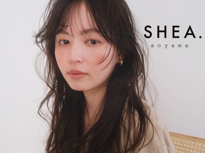 シアアオヤマ 表参道青山(SHEA aoyama)の写真