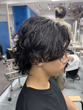 ゼストプール(ZEST POOL) サーフカール