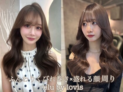 エルバイラビス 大宮(elu by lovis)の写真