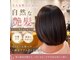パンプキン(PUMPKIN)の写真