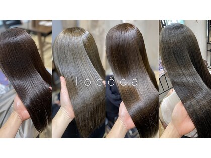 トコカ(Tococa)の写真