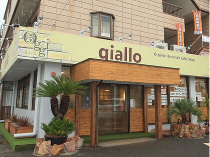 オッジ ヘアー ジャッロ(Oggi Hair giallo)の写真