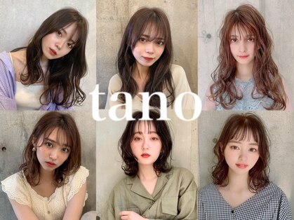 タノ(tano)の写真