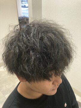 ラ ファブリック 草加(LA FABRIQUE) 【下田】ツイスパ