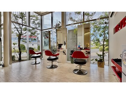 ノーバ(nova)の写真