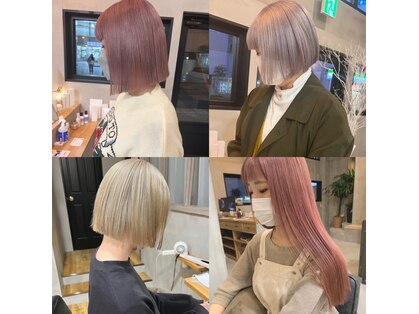 ダーリン(Darlin)の写真