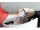 ココスタイル(Koko style)の写真