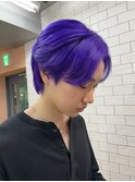 パープルカラー 0402