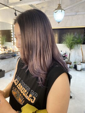 プルメリアドット(Plumeria.) lavender バレイヤージュ