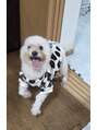 トリプルエイチフォーヘアー 国分店(HHH for hair) 我が家の犬☆