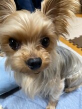 ラコスタ&nbsp;小川 タロー