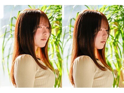 コモレビ(COMOREVI)の写真