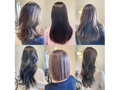 ケストラ(KESTRA)の写真