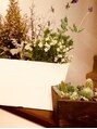 ジャンプッシュ 平尾(JUMPUSH) 植物などのアレンジやってみました。何気に楽しいですね^^