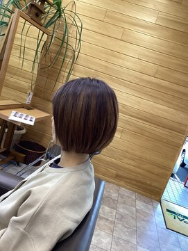 ヘアーオアシスパル ボブ