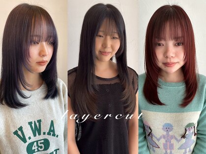 シェルパ(SHERPA)の写真