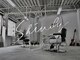 シンディ(Shindy)の写真