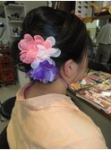 【見附】着物に似合うセット