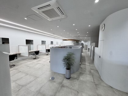 ヤエ(yae)の写真